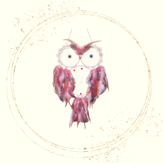 Caça Sonhos Mocho - Rosa